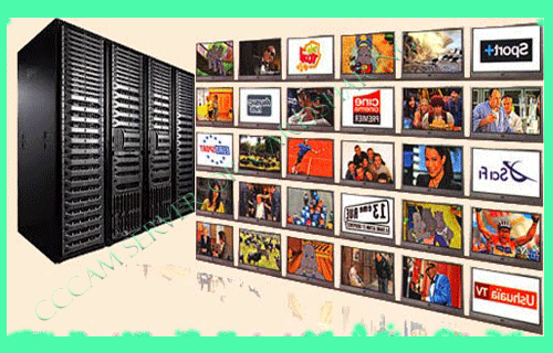 Image result for Cccam server